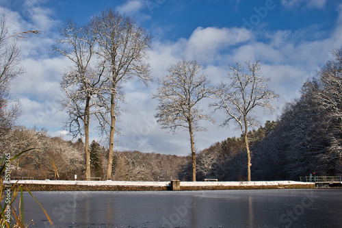 Trees on a bank between two ponds at Scwarzweiher near  Enkenbach-Alsenborn on a bright, sunny winter day in Germany. photo