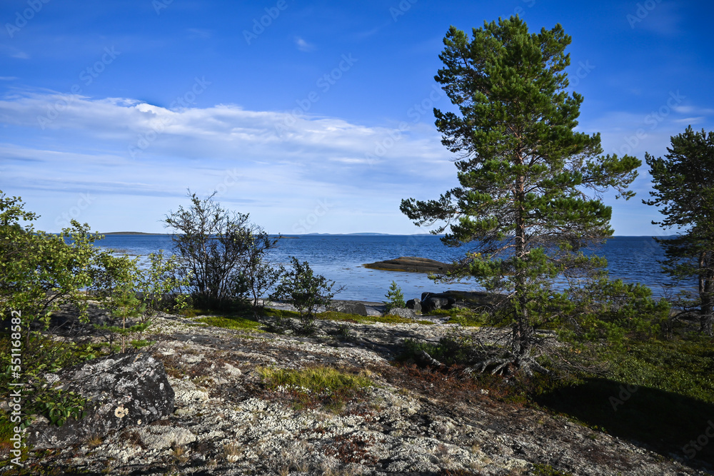 The White Sea at the end of summer. The White Sea at the end of summer.