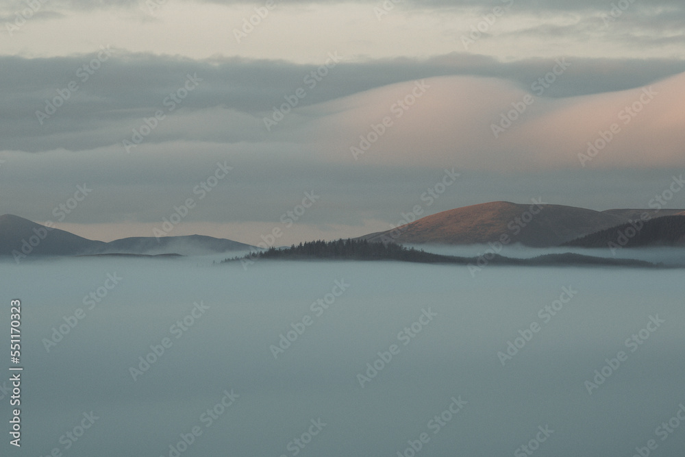 Forest surrounded by a cloud inversion Forest surrounded by a cloud inversion
