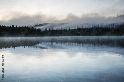 Fog on the lake