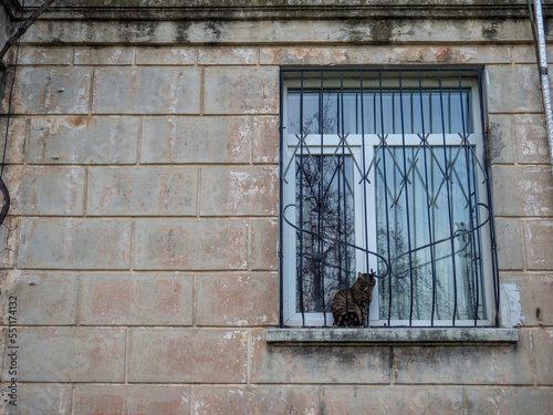  A striped cat sits on a ledge. The cat on the window. Window with bars from thieves. Cosy. USSR architecture.