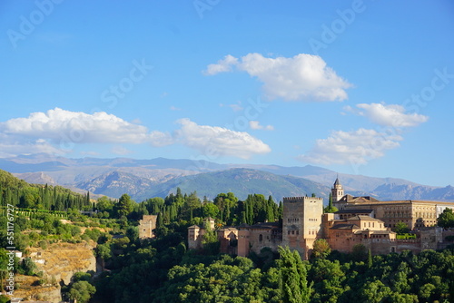 view of La Alhambra in Granada  Spain