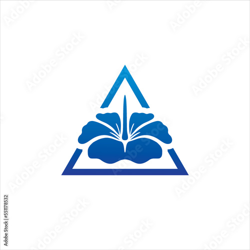 Logo Design With Triangles and Hibiscus Flowers