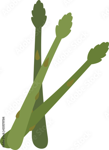 asparagus illustration on transparent background