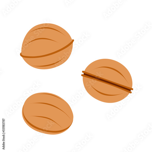 Walnut shaped cookies with boiled condensed milk. Homemade tasty dessert. Hand-drawn colored flat vector illustration isolated on white background.