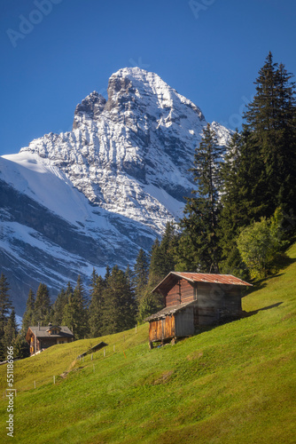 Snowcapped Bernese Swiss alps, Breithorn and alpine farms, Switzerland