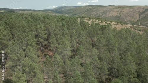 Vista aérea de bonito bosque gallego en la frontera con Portugal, parque nacional de Montesinho 3 photo