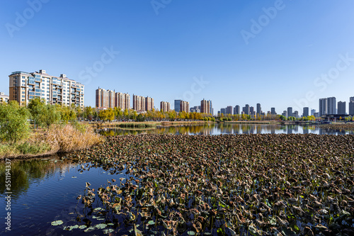 Autumn scenery in urban area of Changchun City, China
