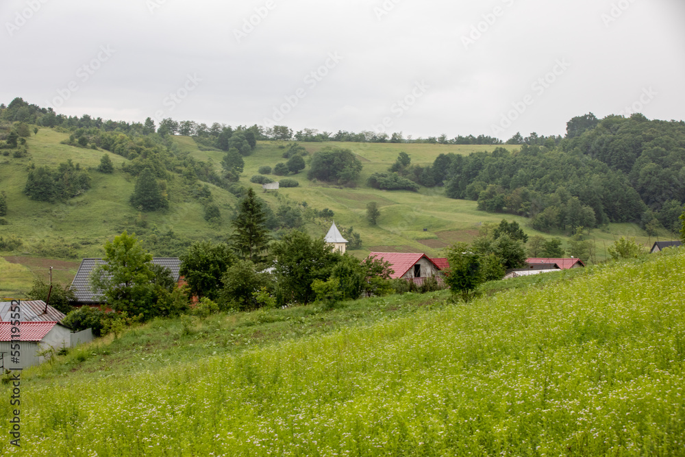 Green summer landscape in rural Romania