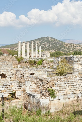 The Bouleuterion of Aphrodisias, Turkey