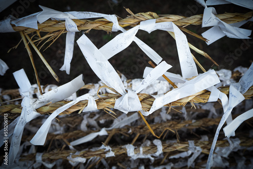 Whishes on paper attached around a sacred tree in Hahoe folk village near Andong photo