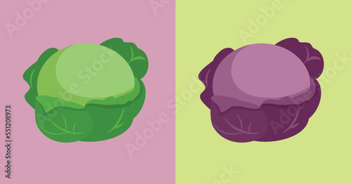 Red Cabbage vs White Cabbage Vector Cartoon Illustration. Different types of cabbage on colorful backgrounds
