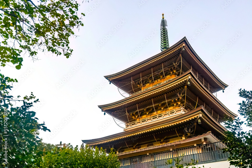 Ancient scenic Zenkoji Temple pagoda at fall Ancient scenic Zenkoji Temple pagoda at fall