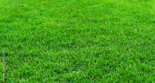 Top view green grass soccer field for background