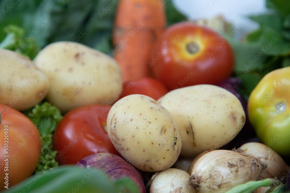 Assorted vegetables on organic background