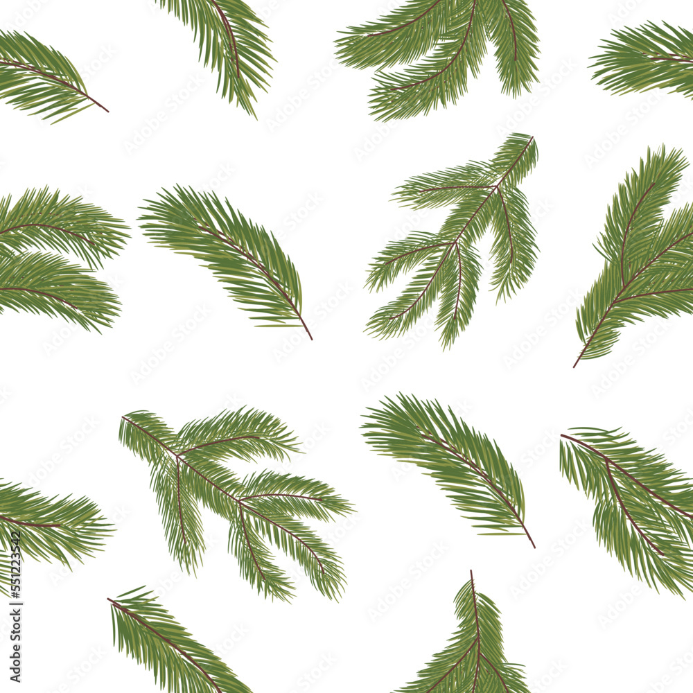 Fir tree branches on white background. Pattern for design