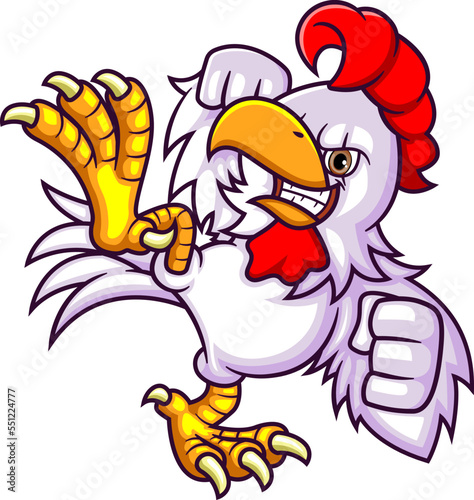 The rooster fighter kicking