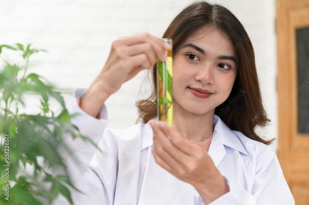 Asia Woman scientist hand holding cannabis in test tube in the lap Asia Woman scientist hand holding cannabis in test tube in the lap
