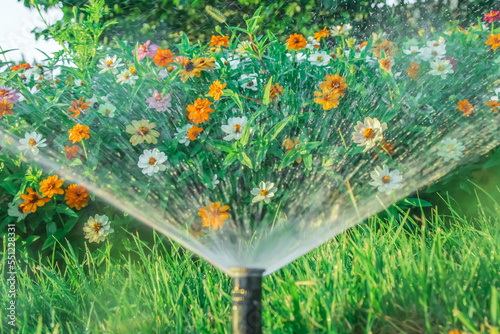 Fototapeta Naklejka Na Ścianę i Meble -  Blur of water in motion from a sprinkler in the garden against the background of flowers.Blurred action of watering flowers.