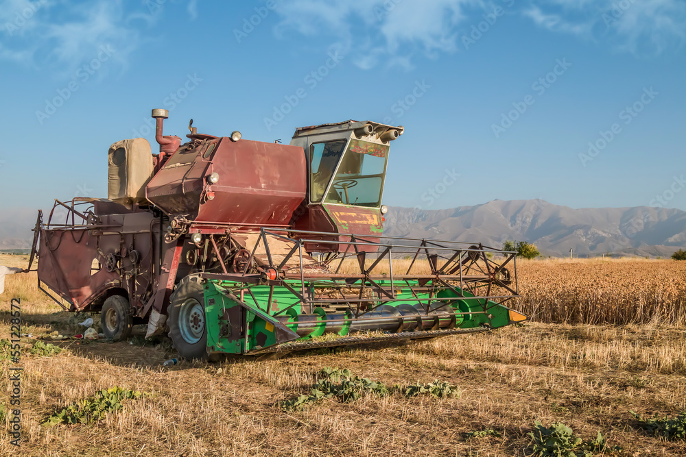 Fototapeta premium An old harvester works in the field.Collecting safflower by a harvester.