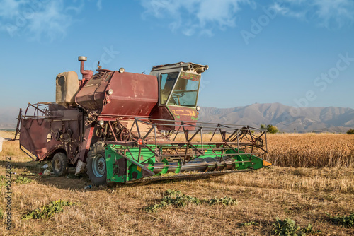 An old harvester works in the field.Collecting safflower by a harvester.