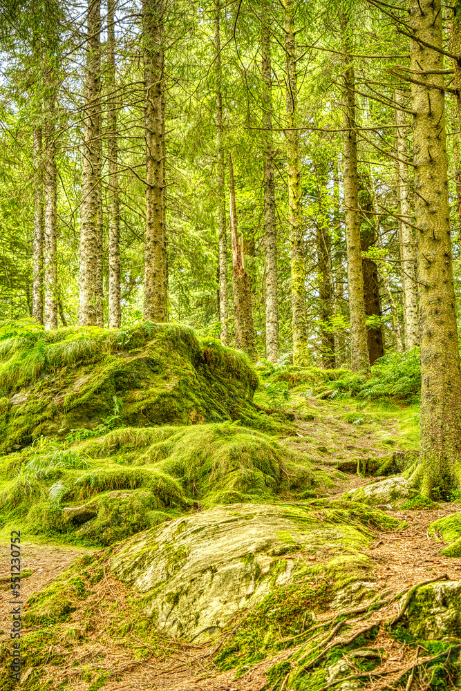 Bergens fjellstrekninger, HDR Image Bergens fjellstrekninger, HDR Image