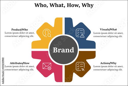 Brand building components of Who, What, how, Why with icons in an Infographic template