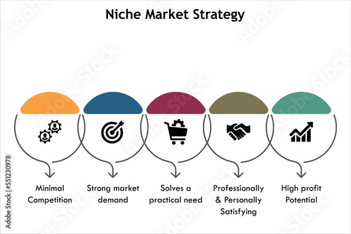 Niche Market Strategy with icons in an Infographic template