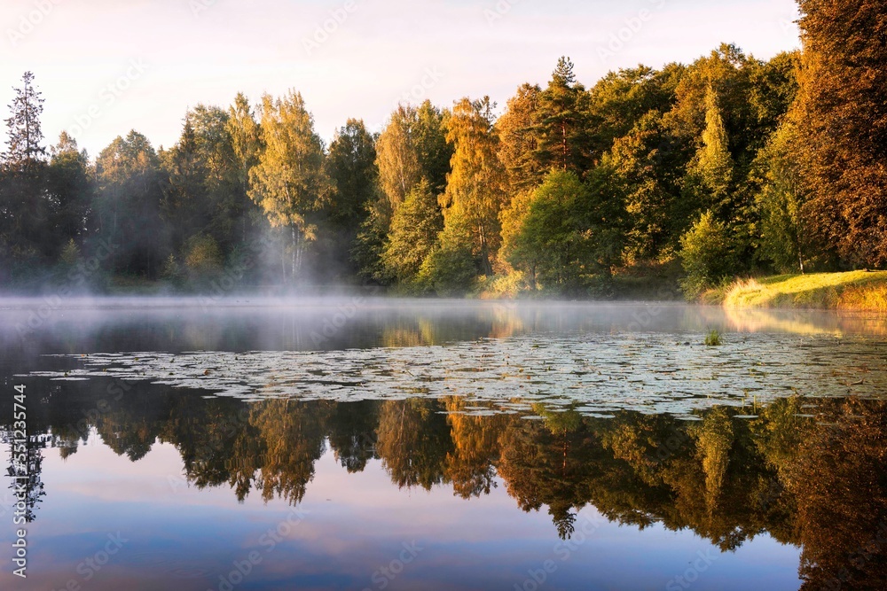 autumn in the park