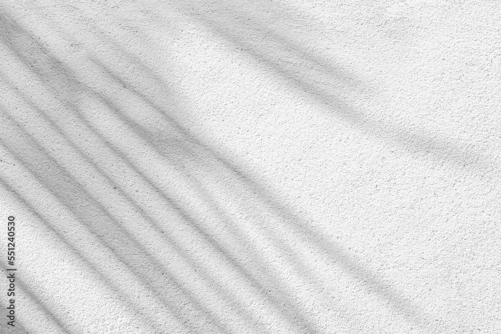 Black and White abstract background texture of shadows leaf on a concrete wall.