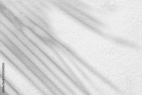 Wallpaper Mural Black and White abstract background texture of shadows leaf on a concrete wall. Torontodigital.ca