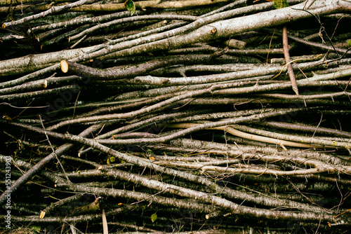 stacked tree branches and twigs texture. Firewood or fence material