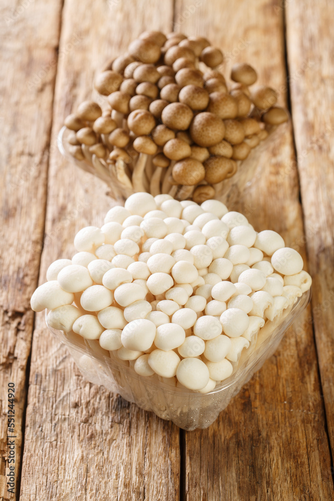 White and brown shimeji edible mushrooms native to East Asia, buna