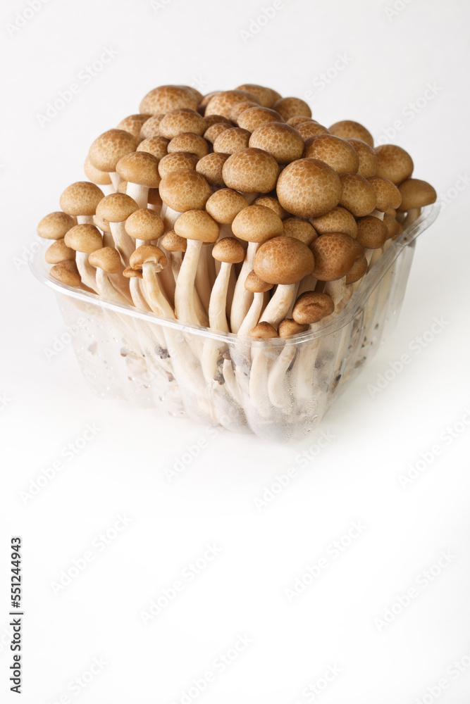 fresh brown shimeji mushroom, beech mushroom or Buna-shimeji in plastic container isolated on white background Vertical fresh brown shimeji mushroom, beech mushroom or Buna-shimeji in plastic container isolated on white background Vertical
