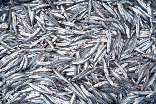 Fresh anchovies caught by fishermen are stored in plastic baskets to be taken to the market
