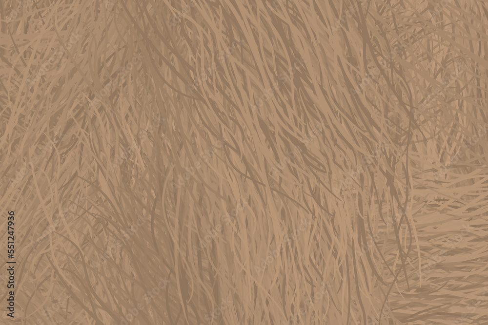 Obraz premium Hintergrund