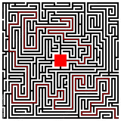 labyrinth/maze