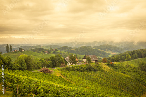 Scenery vineyard along the south Styrian vine route named Suedsteirische Weinstrasse in Austria at sunset  Europe.