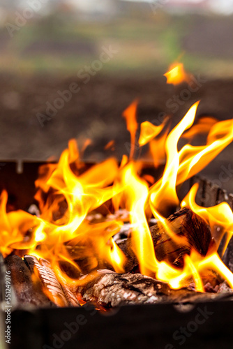 Burning logs, heat, fire, ashes. Autumn rural landscape, gloomy photo, macro photography. Autumn photo, light, wallpapers