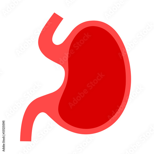 Human stomach vector on white background. Healthy internal organs.
