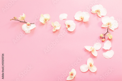 Fototapeta Naklejka Na Ścianę i Meble -  white orchid flowers on pink ackground