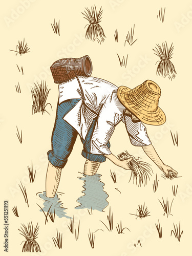 Asian farmers working on Field. Farmer harvesting vector. Hand drawn illustration.
