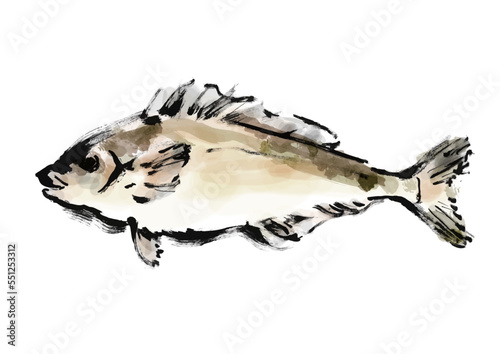 ほっけの手描き和風イラスト素材