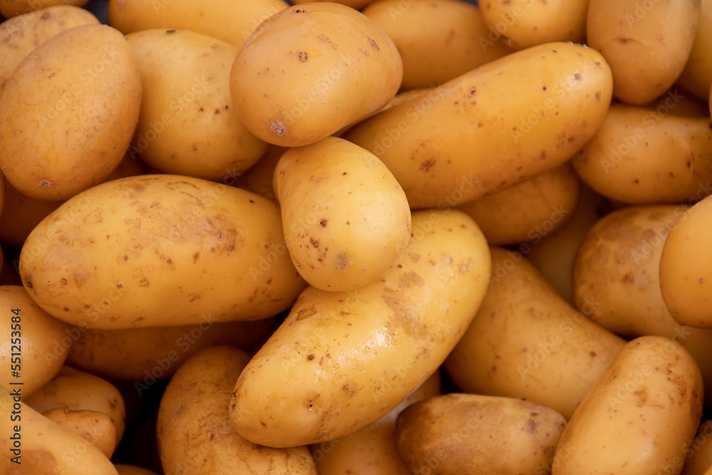 gros plan de pomme de terre cru avec peau gros plan de pomme de terre cru avec peau