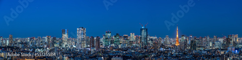 Panoramic view of Greater Tokyo area at Magic hour. photo