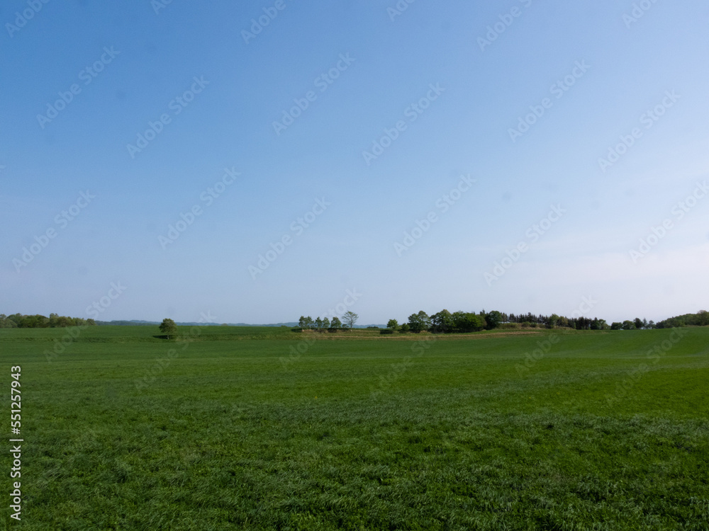 Green and vast spring meadow Green and vast spring meadow