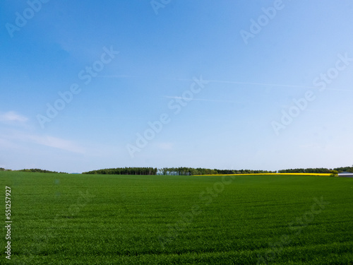 Vast spring meadows and forests