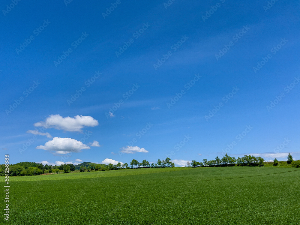 Spreading blue sky and meadow