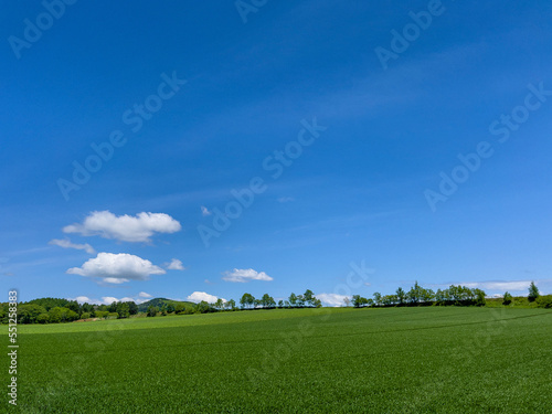 Fototapeta Naklejka Na Ścianę i Meble -  Spreading blue sky and meadow