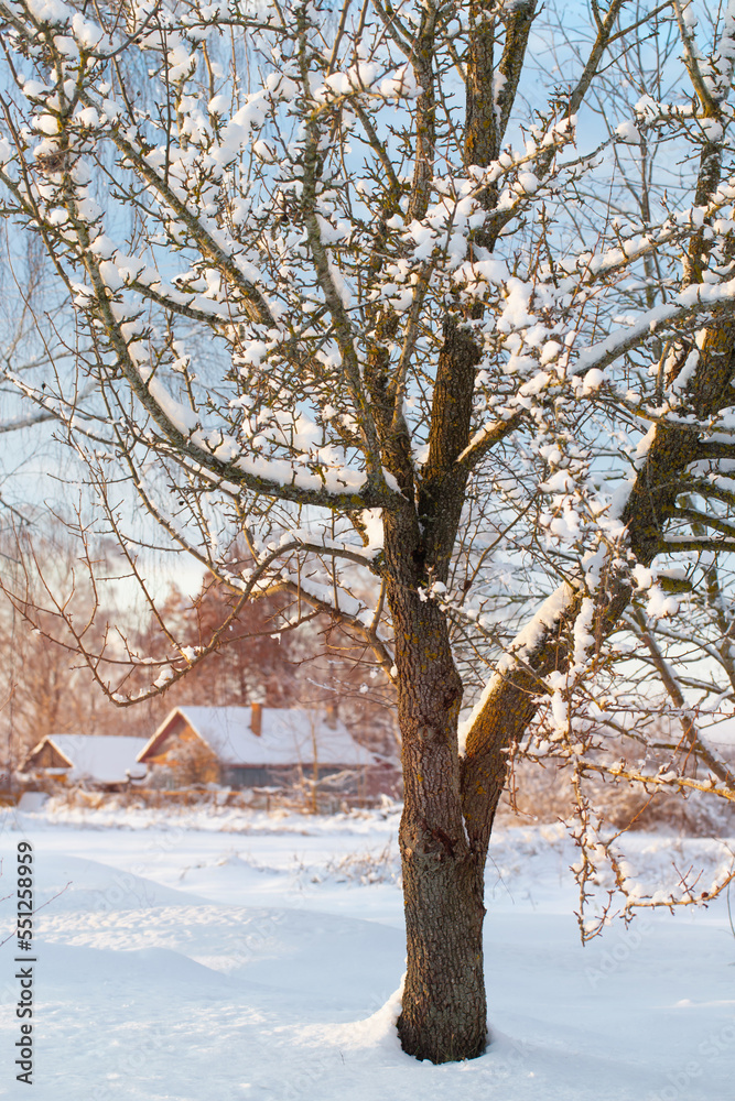 snowy winter rural landscape at sunset snowy winter rural landscape at sunset